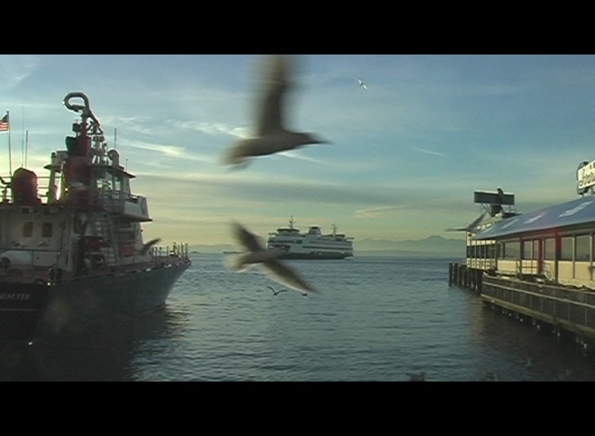 DRop Zone, by Jeff Tassin